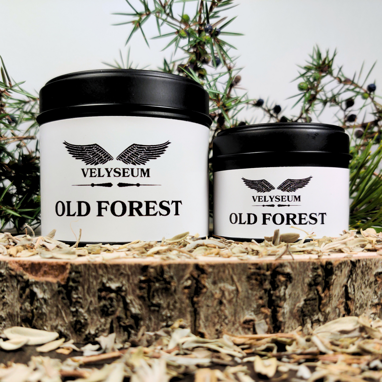 OLD FOREST